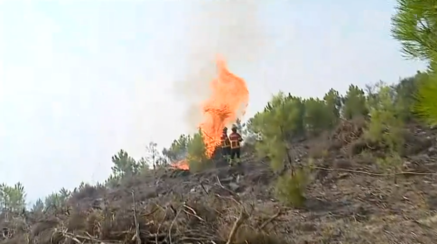 Incêndio florestal em Alijó