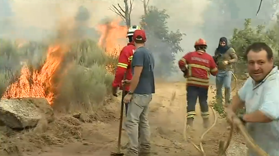 Incêndio florestal em Almeida
