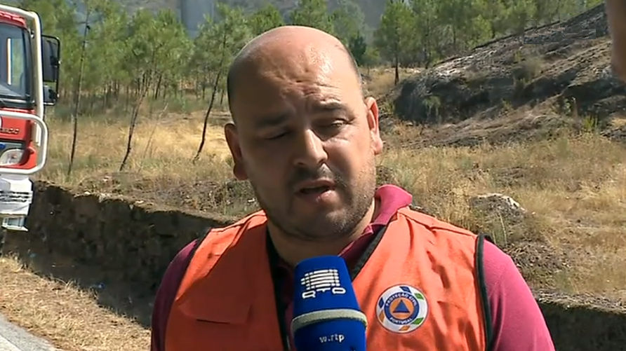 Incêndio florestal em Mangualde