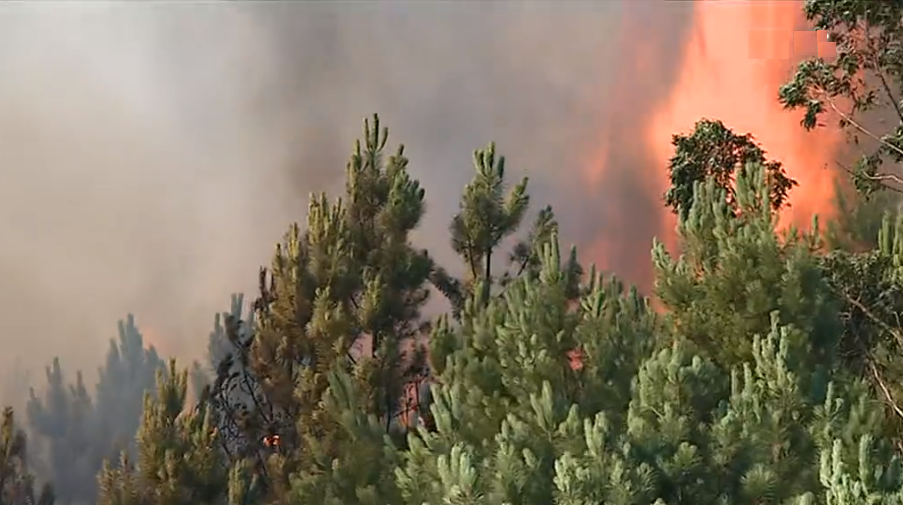 Incêndio florestal em Oleiros