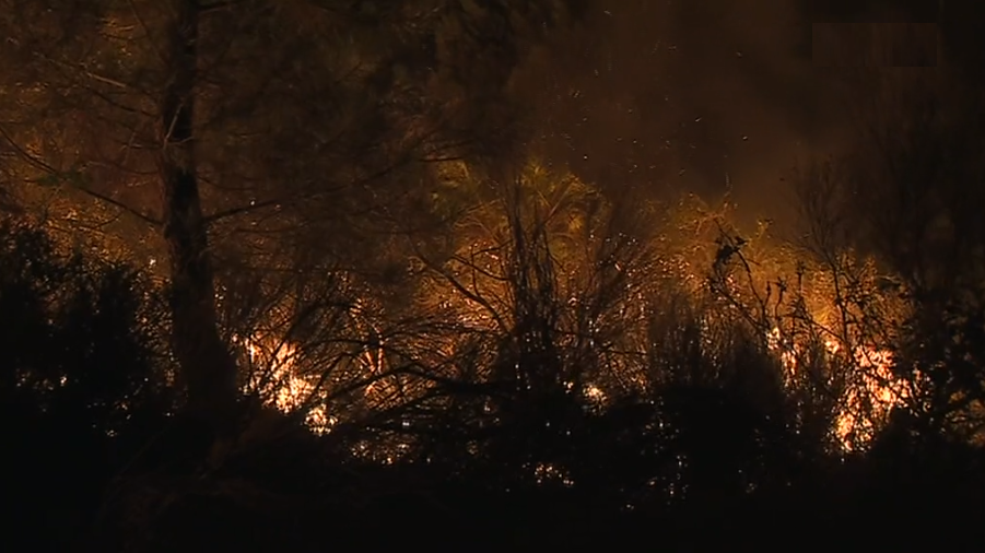 Incêndio florestal em Torre de Moncorvo