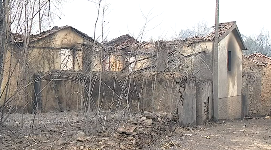 Medidas de apoio às vítimas de Pedrógão Grande