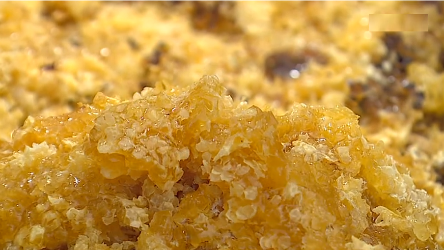 Produção de mel no Alentejo II