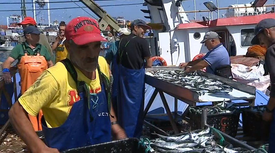 Pesca da sardinha em Portugal e Espanha