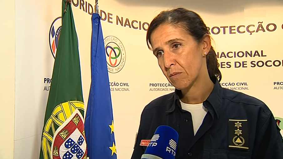 Incendiários detidos em Portugal