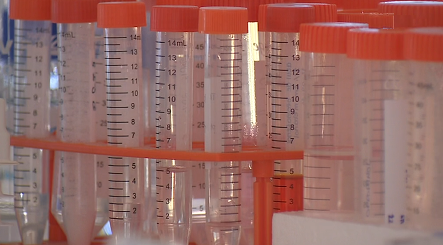 Tratamento inovador ao cancro no pâncreas