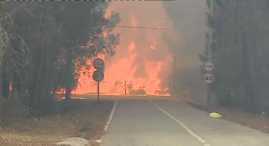 Incêndio florestal em Alijó