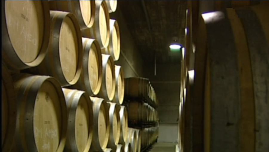 Vinhos Aveleda adquirem Quinta Vale Dona Maria