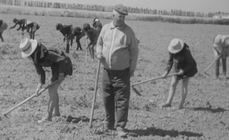 Estado de degradação das escolas e desigualdades sociais