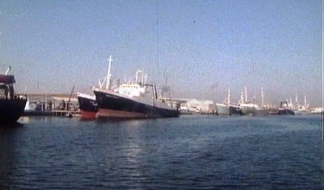 Batotas com Bacalhau – Parte II