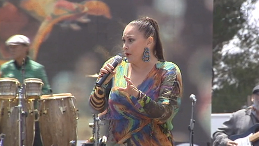 Fafá de Belém na festa do PSD