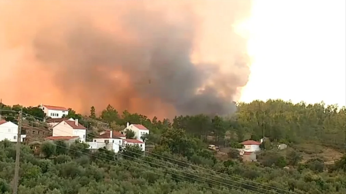 Incêndio florestal em Proença-a-Nova
