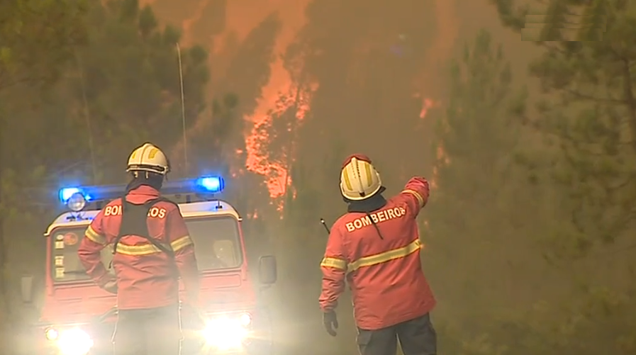 Incêndio florestal em Mação