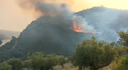 Incêndio florestal em Vila Velha de Rodão
