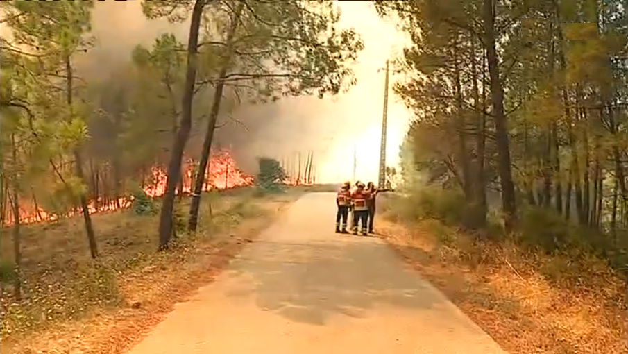 Incêndio florestal em Proença-a-Nova