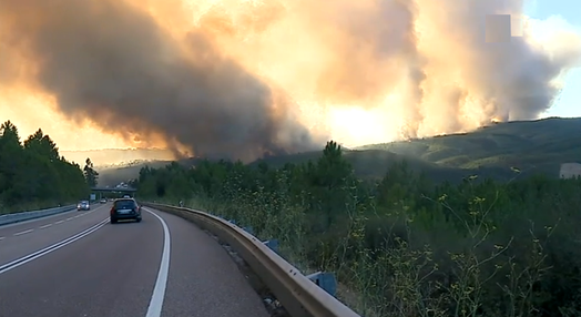 Incêndio florestal na Sertã