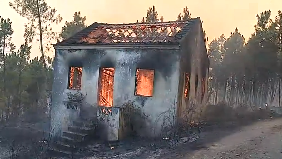 Incêndio florestal na Sertã