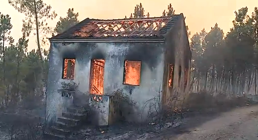 Incêndio florestal na Sertã