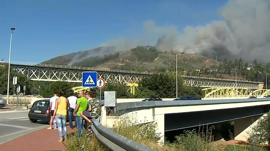 Incêndio florestal em Coimbra