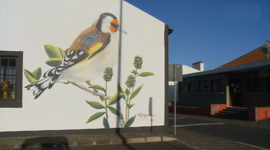 Biosfera da Ilha das Flores pintada em murais