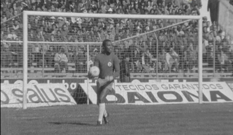 Futebol: Sport Lisboa e Benfica vs Sporting Clube Farense