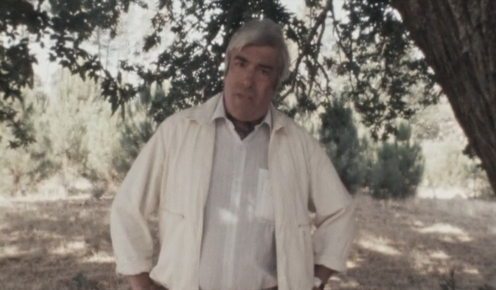 Pinhel, Figueira de Castelo Rodrigo e Almeida