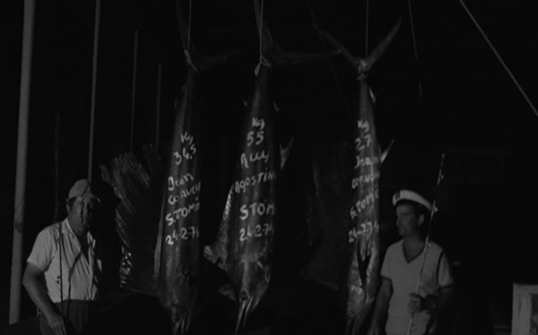 Pesca desportiva em São Tomé