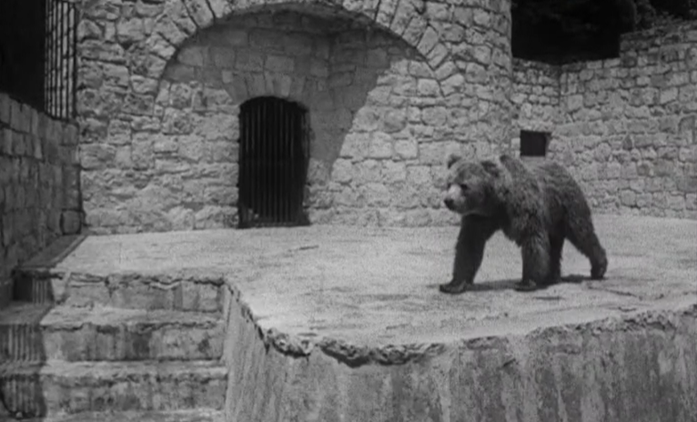 Negligência no Jardim Zoológico de Lisboa