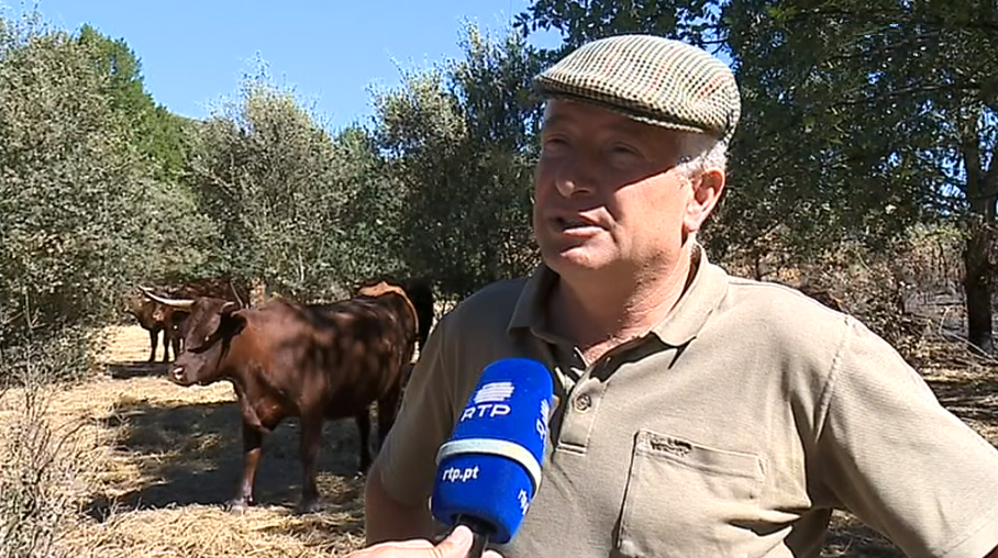 Ajudas na alimentação de animais na região norte