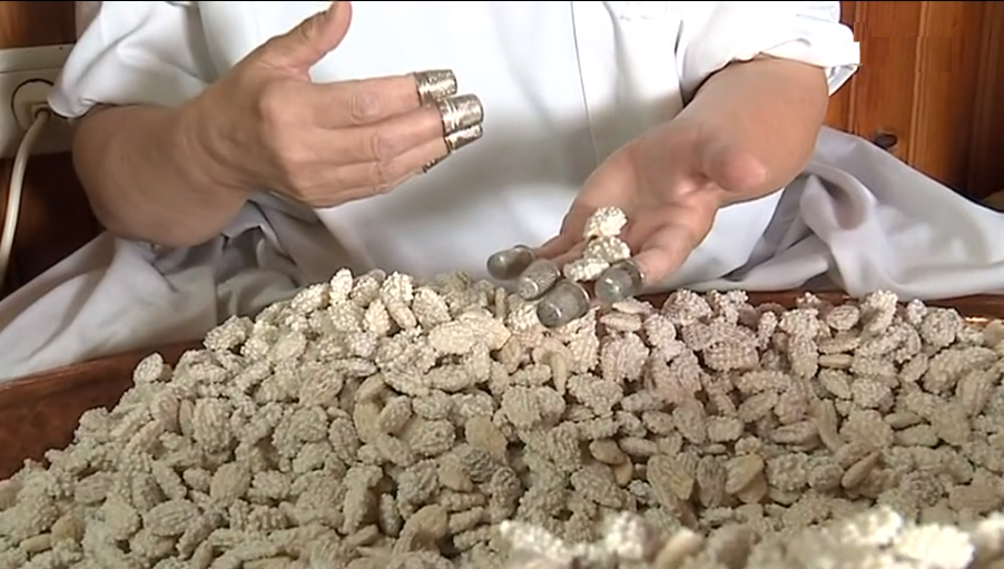 Amêndoa Coberta da Torre de Moncorvo I