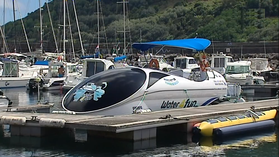 Observação subaquática na Ilha Terceira