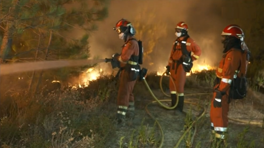 Incêndio florestal em Mação