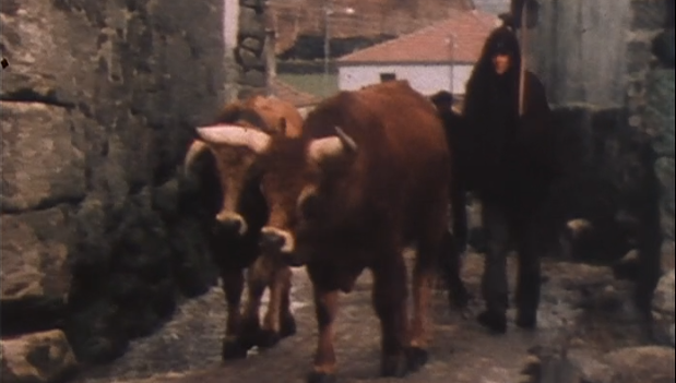 Encontros em Trás-os-Montes, Longe de Lisboa – II Parte