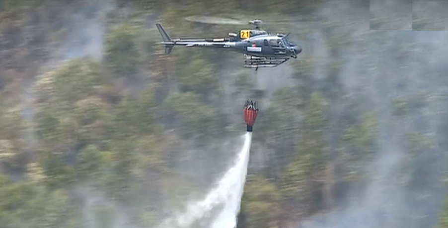 Incêndio florestal em Penacova