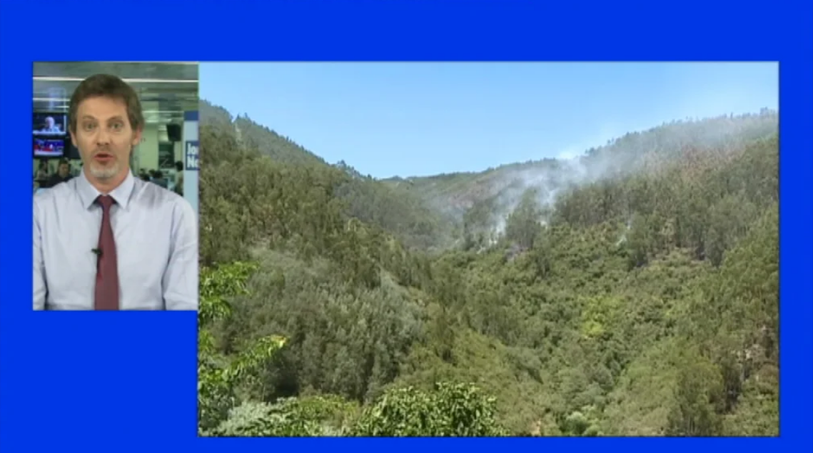 Entrevista a Domingos Andrade