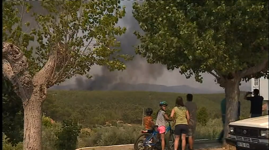 Incêndio florestal em Mação