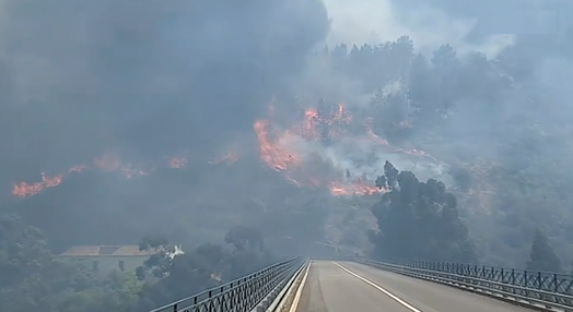 Incêndios florestais em Nisa e Mação