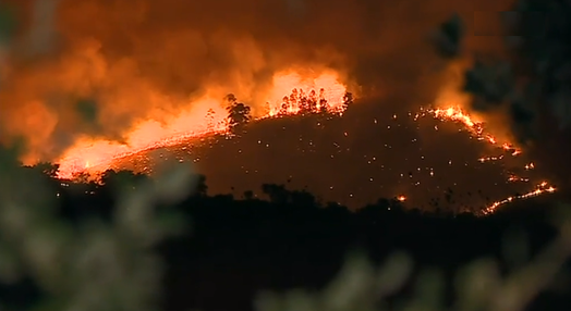 Incêndio florestal em Nisa