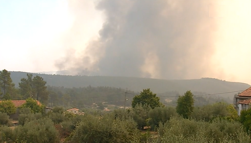 Incêndio florestal em Mação
