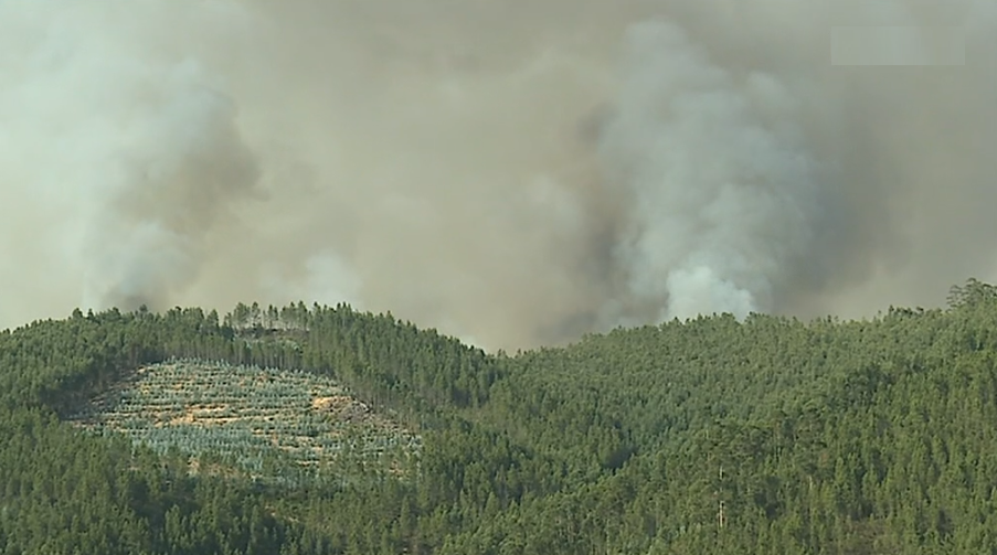 Dados da PJ sobre incêndios florestais
