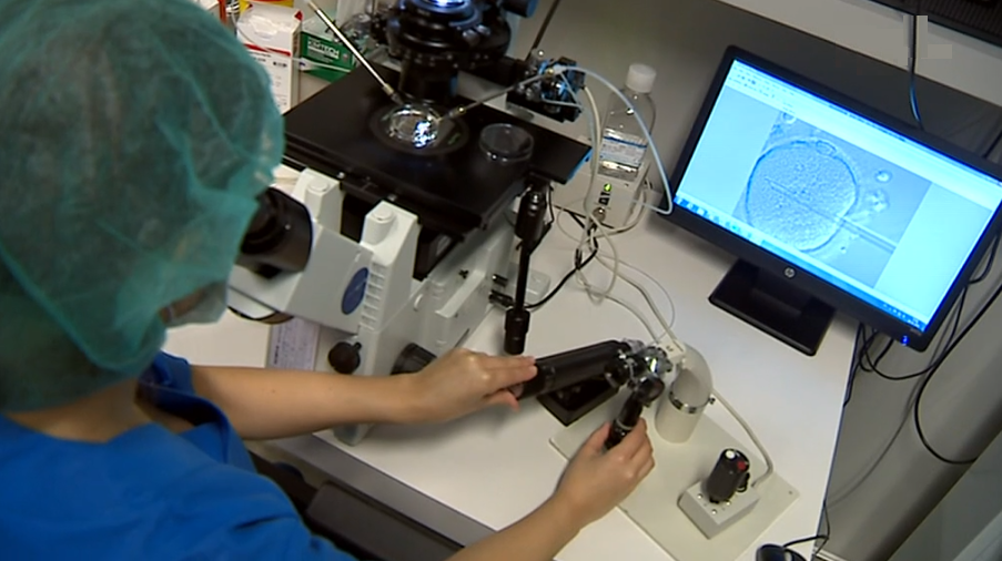 Mutação genética corrigida