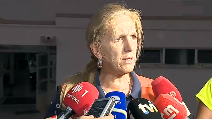 Incêndio florestal em Nisa