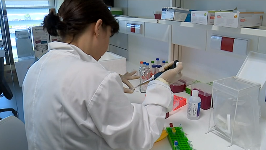 Desenvolvimento de teste para a gravidez