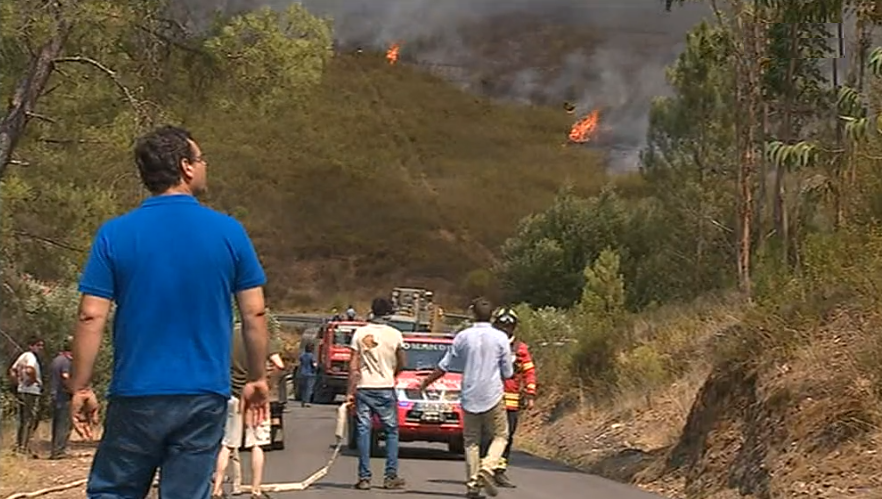 Incêndio florestal em Mação
