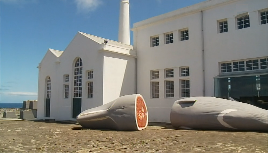 Aumento do turismo nas Flores