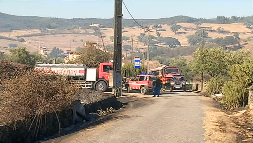 Incêndio florestal em Nisa