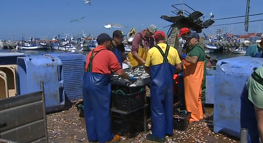 Pesca da sardinha em Portugal