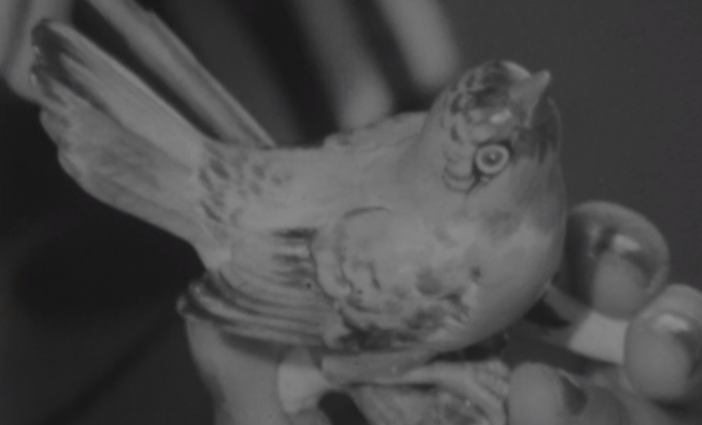 Banda e Grupo Coral da Vista Alegre