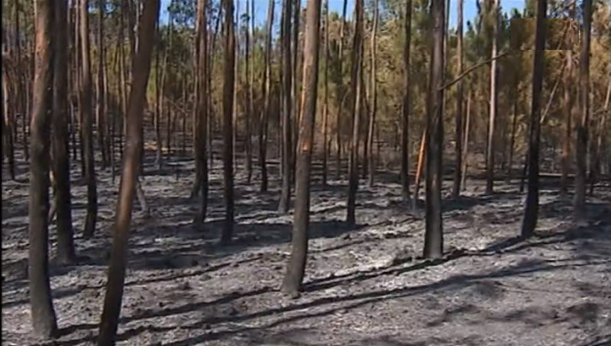 Prejuizos no concelho de Mação