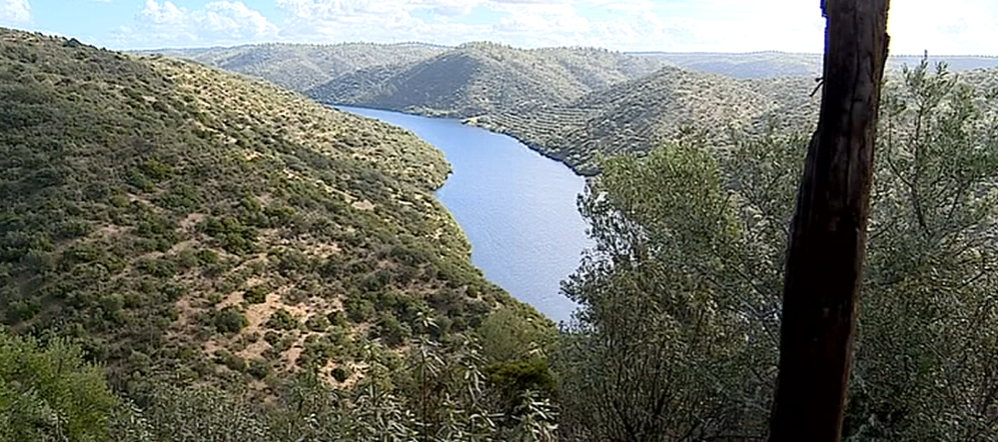 Polémica com a Quercus